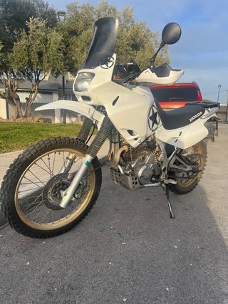 Honda Dominator