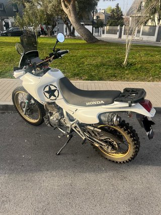Honda Dominator