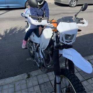 Honda Dominator