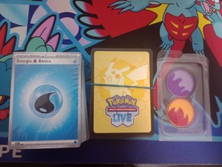 Lote Cartas Pokémon