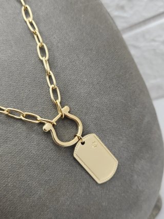 Collar Acero Quirúrgico Chapado Oro
