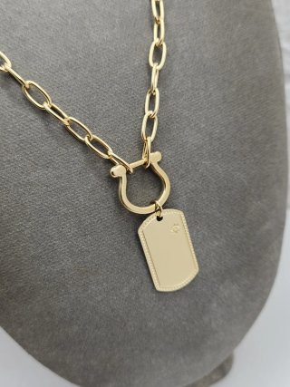 Collar Acero Quirúrgico Chapado Oro