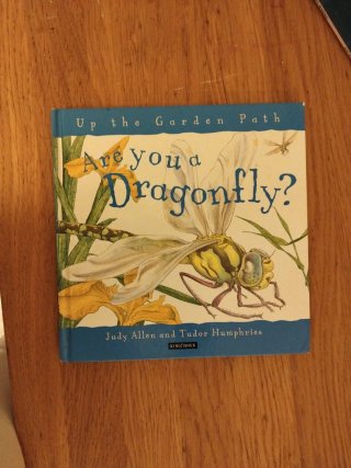 Lote de 9 libros infantiles en inglés