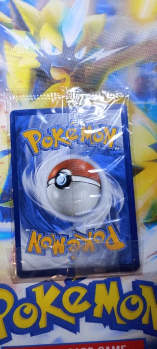 Carta Pokémon Eevee VMAX Gigantamax