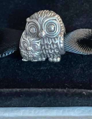 Charm Pandora Gufo e Gufetto Argento