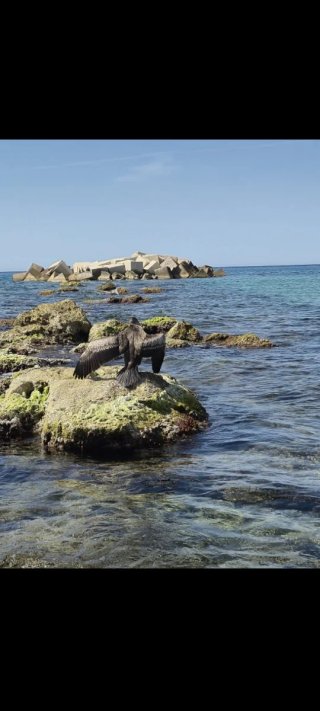 Escapada romántica playa : Velas y pétalos