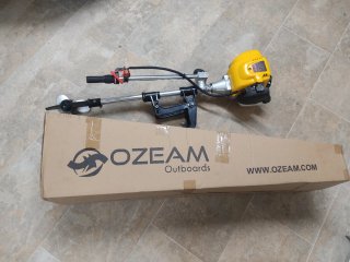Motor fueraborda Ozeam 1.3 CV 4T