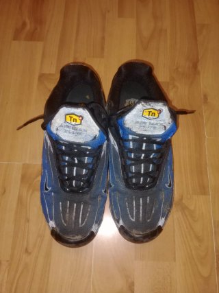 Scarpe Nike Air Max Plus TN