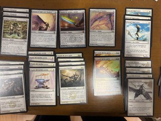 Mtg: Mazo de Modern Espadas