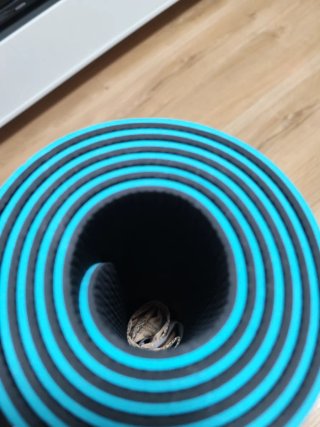 Esterilla Yoga Frida Kahlo