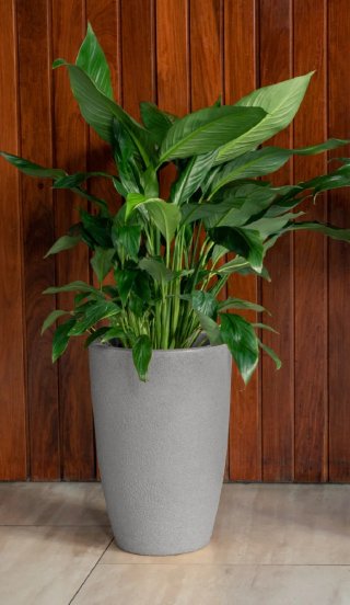 Maceta texturizada piedra gris