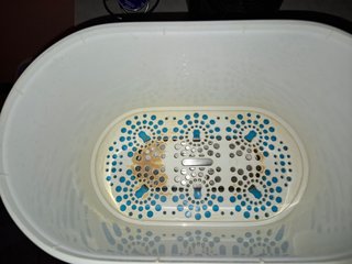 Sterilizzatore Philips Avent