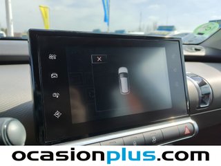 Citroen C4 Cactus BlueHDi 100 Shine ETG6 73 kW (100 CV)