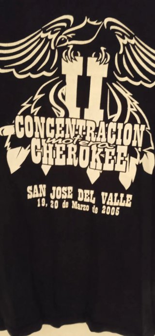Lote 4 Camisetas Hombre Talla L.solo envio