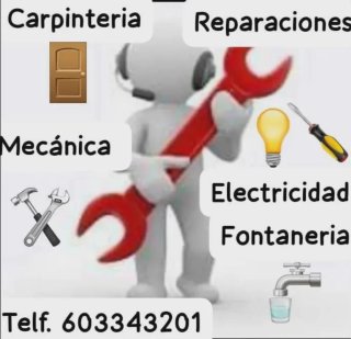 Reparación motores electricos en general