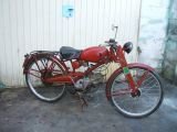 Lote de 50 MOTOS