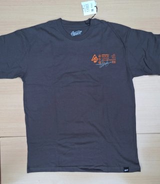 Camiseta STWD gris con estampado