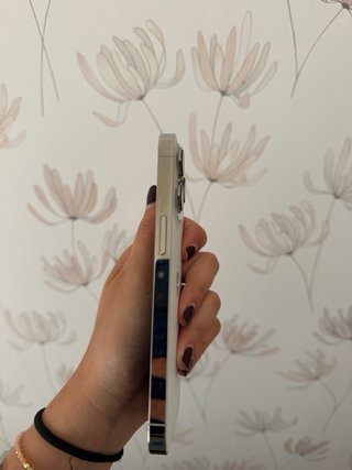 iPhone 13 Pro Plata