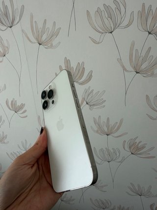iPhone 13 Pro Plata