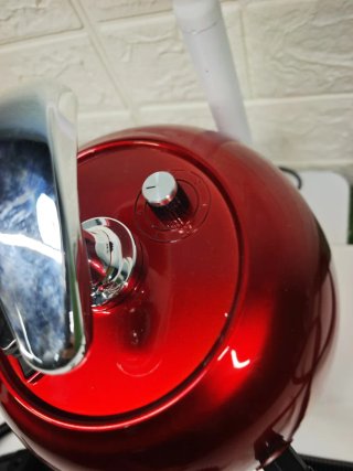 Limpiador a vapor diseño Manzana