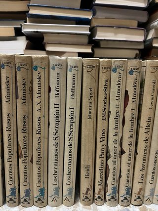 Lote de libros Anaya
