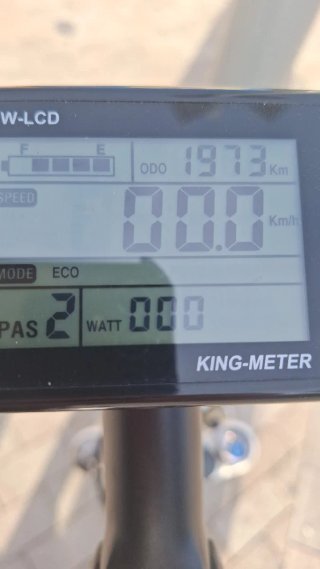 Bici eléctrica Bolt