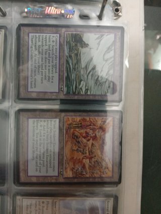 MTG: ALIANZAS SET COMPLETO