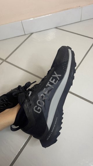 Nike Pegasus Trail 4 GTX