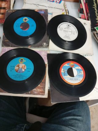 Lote Secret Service Vinilos