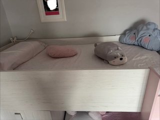 Cama litera tren juvenil con armario