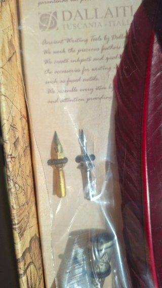 Set Penna Stilo Calligrafia con Inchiostro