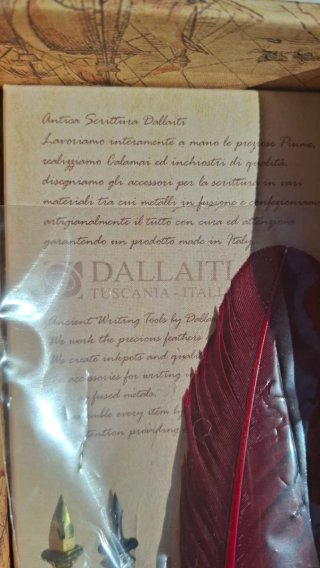 Set Penna Stilo Calligrafia con Inchiostro