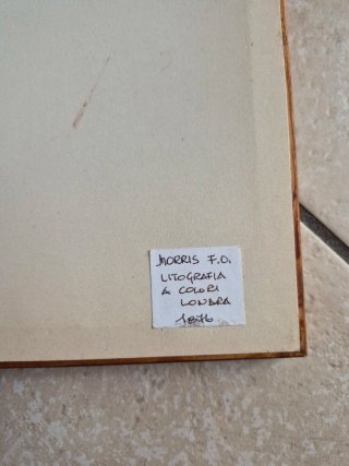 Set 2 Litografie Farfalle Cornice Legno