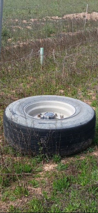 Llanta 385/65 22.5R con rueda  desgastada