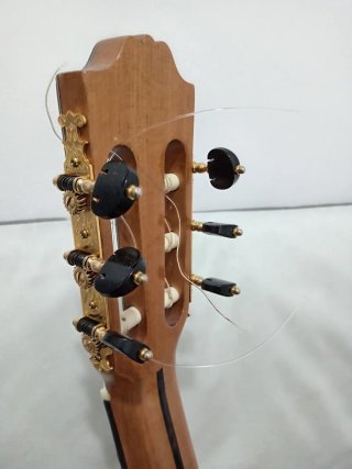 Guitarra Amplificada