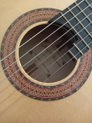 Guitarra Amplificada
