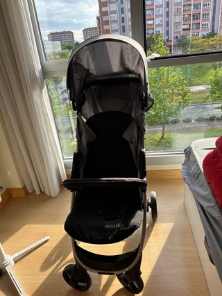 Carrito de bebé Asalvo