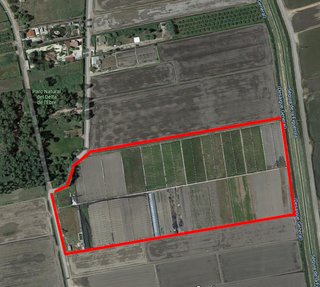 Vendo finca rustica de regadio de arroza