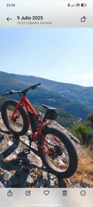 Fatbike ebike