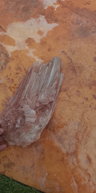 Marquesita de Aspe en bruto