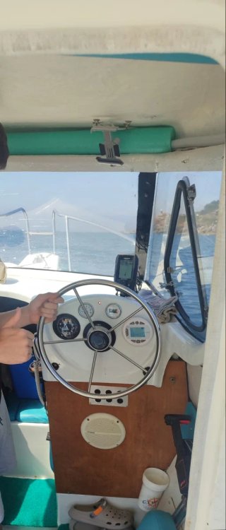 Barco Estable Timonera 540