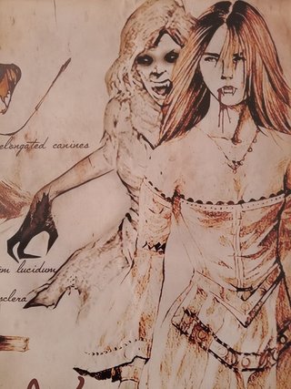 Poster de Lienzo "Manuscrito Vampirico"
