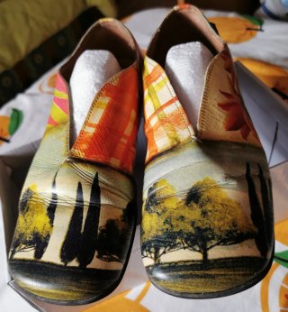 Zapatos Camper Talla 38 Paisaje