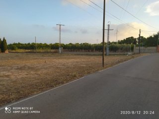 Desbroce y limpieza de la misma