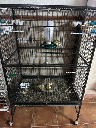 Jaula Voladera Grande para Pájaros