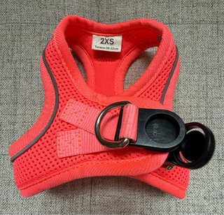 Arnés para perro pequeño 2XS