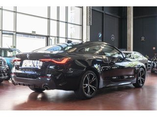 BMW Serie 4 420i Coupe 135 kW (184 CV)