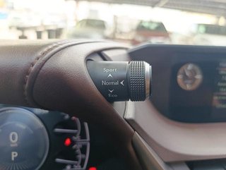 Lexus ES 300h Business 160 kW (218 CV)