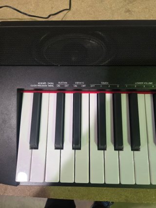 Piano Digital Amazon Basics 88 Teclas