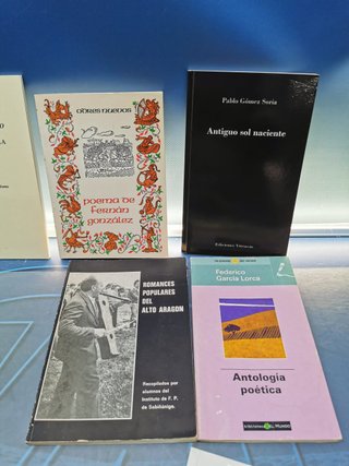 Lote, 8 novelas, Poesía y mas...